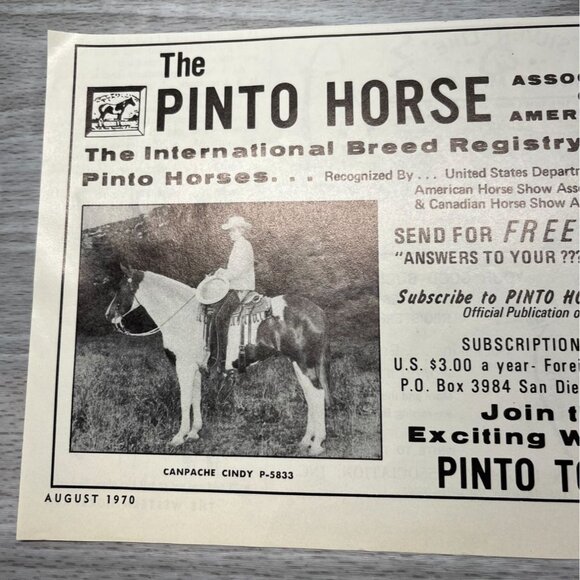 Pinto Horse Breeders Association Vintage Print Ad 1970s Horse Registry San Diego - Picture 4 of 6